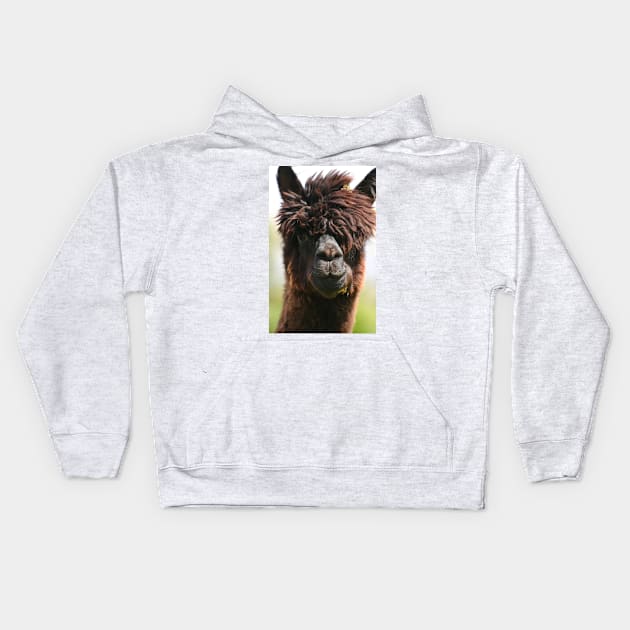 Alpaca Kids Hoodie by Furtographic